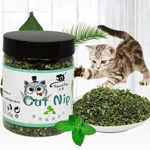 (1PCS) Organic 100% Natural High Quality Catnip Cattle Grass Mint Taste Funny Cat Toy New Cat Toy