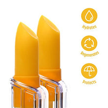 '- 2 x Nourishing Lip Balms with Sea Buckthorn Oil and Sweet Orange Oil - Protector and Antioxidant - Lip Regeneration - Transparent Balm FOR MEN AND