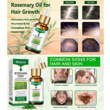 20ml Rosemary Essential Oils Hair Density Essential Oil Anti-Hair Loss Oil for Women Hair Oils for Hair Smooth Anti-frizz