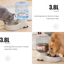 3.8L Dog Automatic Feeders Plastic Water Bottle Cat Bowl Feeding and Drinking Dog Water Dispens