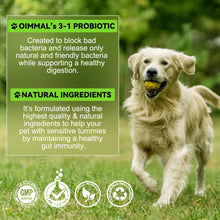 60ml 3-In-1 Probiotic Drops for Dogs - Maintain Gut Immunity, Supports Digestive Health, Provides Beneficial Bacteria - Digestive Enzymes, Prebiotics