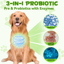 60ml 3-In-1 Probiotic Drops for Dogs - Maintain Gut Immunity, Supports Digestive Health, Provides Beneficial Bacteria - Digestive Enzymes, Prebiotics