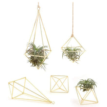 Air Plant Holder 5 Packs Metal Decor Modern Geometric Hanger