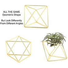 Air Plant Holder 5 Packs Metal Decor Modern Geometric Hanger