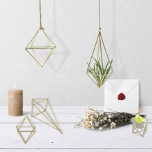 Air Plant Holder 5 Packs Metal Decor Modern Geometric Hanger