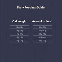 Amazon Brand - Lifelong Dry Cat Food for Adult Cats, Grainfree Recipe with Fresh Salmon, 1 Pack of 3kg