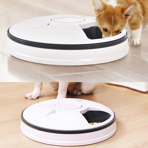 Automatic 6 Day Meal timed Pet Dog Cat Feeder Food Bowl Auto Dispenser