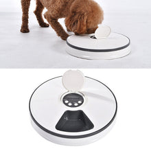 Automatic 6 Day Meal timed Pet Dog Cat Feeder Food Bowl Auto Dispenser