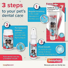 Beaphar | Advanced Dual-Enzyme Toothpaste | Dental Care for Dogs & Cats | Helps Prevent Bad Breath & Combat Plaque | Liver-Flavoured | 100g Tube