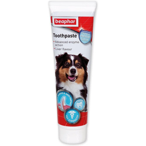 Beaphar | Advanced Dual-Enzyme Toothpaste | Dental Care for Dogs & Cats | Helps Prevent Bad Breath & Combat Plaque | Liver-Flavoured | 100g Tube