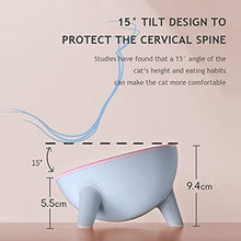 Bowls-Tilted Design Raised Food Bowls Best Feeding Posture, Protect Pets Spine, Anti Vomiting, (Green-gray)