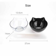 Cat Double Bowls Pet Dog Food Water Bowl Feeder Dual Angle with Raised