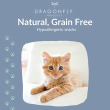 Cat Snacks Natural Fish Treats | Healthy Grain Free Biscuits | Suitable for Kittens | Low Fat | 1000 treats (500g)