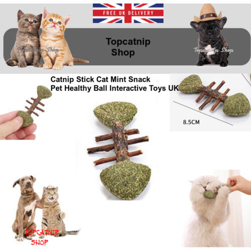 Catnip Stick Cat Mint Snack Pet Healthy Ball Interactive Toys UK