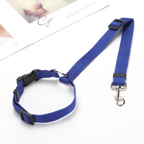 (Color: Blue) Pet Car Seat Belt  + Free Gift