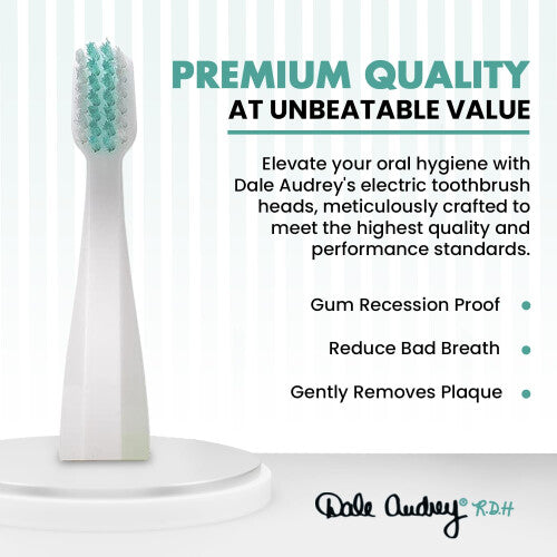 Dale Audrey Ayurvedic Quick Sonic Toothbrush Head Replacement for Adults | DailyClean Toothbrush | (2 Count)