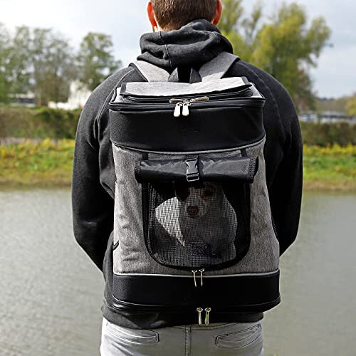 Dog backpack Dog transport bag Pet carrier bag grey/black