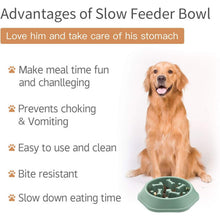 Dog Bowl Dog Slow Feeder Bowls Bloat Stop Food Bowl Interactive Puzzle Healthy Eating Bowl (Green)