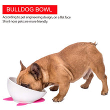 Dog Feeding Bowls,French Bulldog Yellow striped cat Ceramic Dishs For Cut Dog&Cat (White)