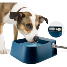 Dog Waterer Automatic Bowl Waterer with Float Valve for Dog Horse Cattle Sheep?Does not contain tube?