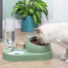 Double Bowl Automatic Pet Bowl Feeder