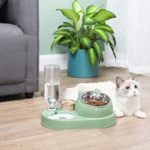 Double Bowl Automatic Pet Bowl Feeder