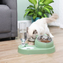 Double Bowl Automatic Pet Bowl Feeder