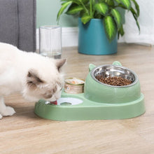 Double Bowl Automatic Pet Bowl Feeder