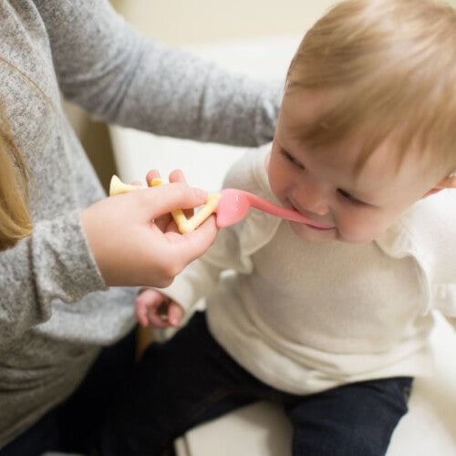 Dr Brown's Toddler Toothbrush Flamingo