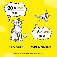 Dreamies Cat Treats, tasty snacks with delicious salmon flavour, Pack of 2 (2 x 350 g)