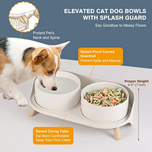 Elevated Dog Food Water Bowl - Raised Dog Bowls with Stand Non Skid - Double Dog Feeding Bowl Set with Splash Proof Guard - Ceramic Pet Dish for Small