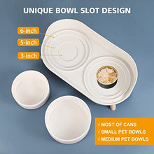 Elevated Dog Food Water Bowl - Raised Dog Bowls with Stand Non Skid - Double Dog Feeding Bowl Set with Splash Proof Guard - Ceramic Pet Dish for Small