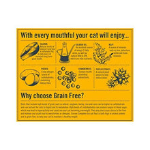 Encore Complete and Grain Free Adult Dry Cat Food, Chicken, 800 g (Pack of 3)