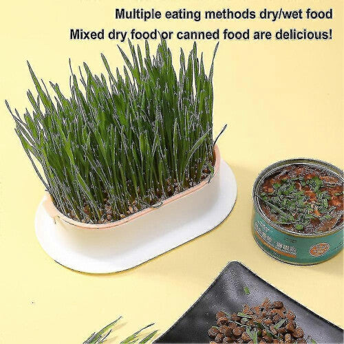 (Gray green) Hydroponic Cat Grass Planter Tray Plastic Catnip Cat Grass Box Soil Free Cat Grass Growing Box Cats Snack Tray