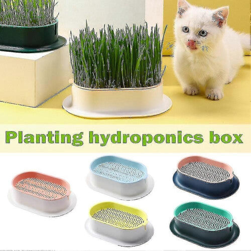 (Gray green) Hydroponic Cat Grass Planter Tray Plastic Catnip Cat Grass Box Soil Free Cat Grass Growing Box Cats Snack Tray