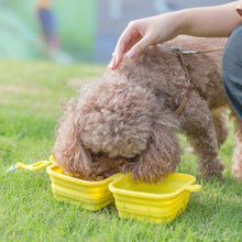 (Grey) Pet Folding Bowl Dog Supplies Cat Puppy Foldable Carry Travel Feeder Drinking