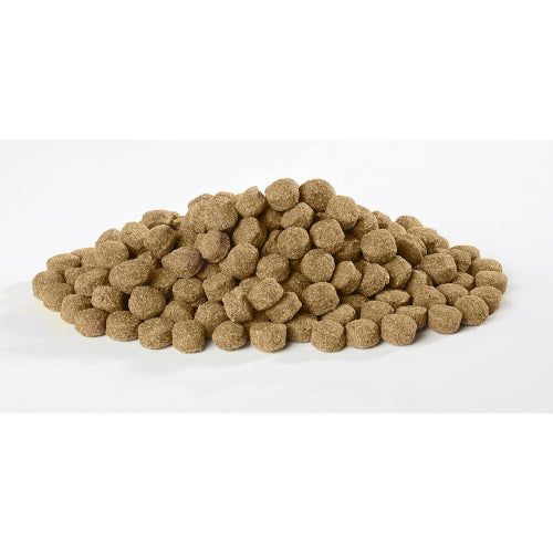 Harringtons Complete Dry Dog Food Lamb Rice 15kg Made with All Natural Ingredients