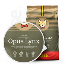 Husse Natural Complete Adult Delicious Dry Cat Food Chicken & Salmon Grain Free Gluten Free High Protein Low Carbohydrate - Opus Lynx 2kg