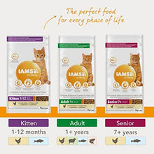 IAMS Complete Dry Cat Food for Adult 1+ Cats with Chicken 10 kg