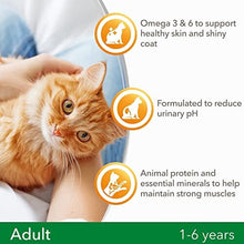 IAMS for Vitality dry cat food with chicken - dry food for cats aged 1-6 years, 10kg