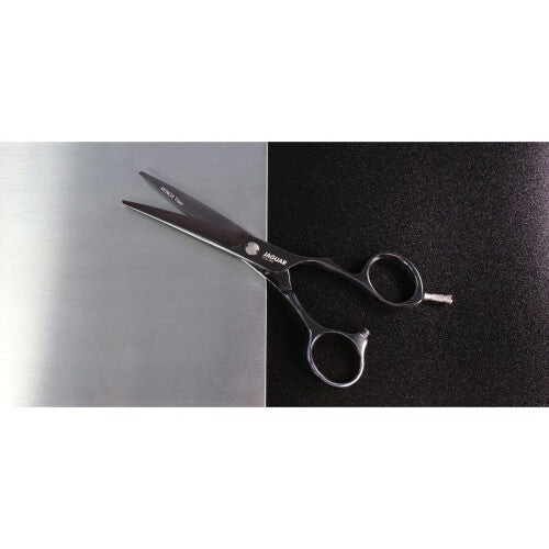 Jaguar Xenox Offset Salon Scissors in Stainless Steel with Titan Finish - 6"