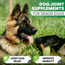 Joint Care Tablets For Dogs - 120 - Arthritis Support & Relief