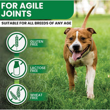 Joint Care Tablets For Dogs - 120 - Arthritis Support & Relief