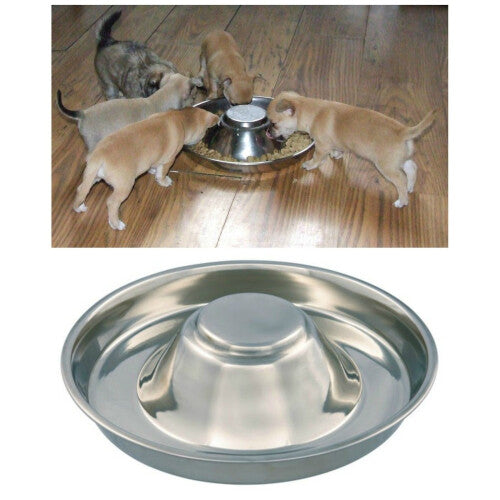 Kabalo Stainless Steel Puppy,Cat, Dog, Pet, Litter Food Feeding & Weaning  Feeder Bowl