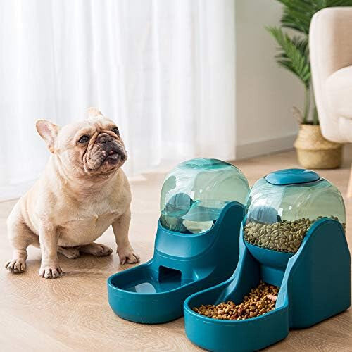 Kibble And Water Dispenser Water (3.8 L) And Food (1.5 Kg) Dispenser For Dogs And Cats Plastic