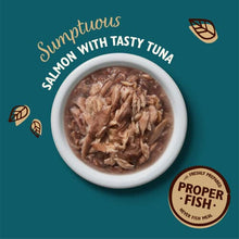 Lily's Kitchen Shredded Fillets with Tuna and Salmon - Grain Free Adult Wet Cat Food (24 Tins x 70 g)