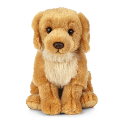 Living Nature Golden Retriever Stuffed Animal Plush Toy | Fluffy and Cuddly Dog Animal |20 cm