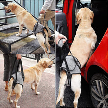 (M) Dog Sling For Large Dogs Hind Leg Support To Help Rehabilitate The Hind Limbs Of Elderly Dogs With Weak Hind Legs Disabilities