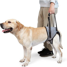 (M) Dog Sling For Large Dogs Hind Leg Support To Help Rehabilitate The Hind Limbs Of Elderly Dogs With Weak Hind Legs Disabilities