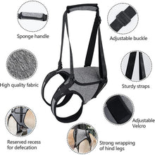 (M) Dog Sling For Large Dogs Hind Leg Support To Help Rehabilitate The Hind Limbs Of Elderly Dogs With Weak Hind Legs Disabilities